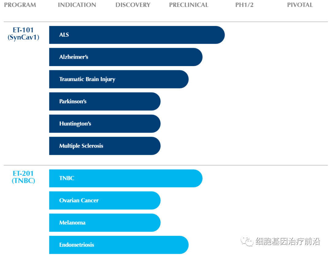 Eikonoklastes基因疗法获得孤儿药认定，有望治疗渐冻症