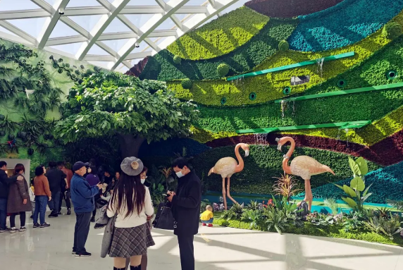 首页| 耀彩网官方网站入口