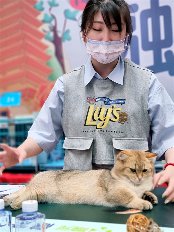 首页| 耀彩网官方网站入口