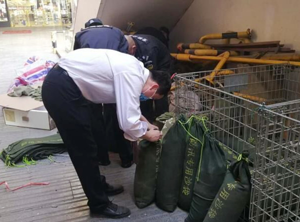 首页| 耀彩网官方网站入口