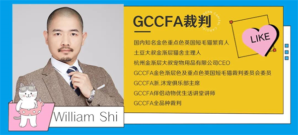 首页| 耀彩网官方网站入口