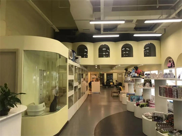 首页| 耀彩网官方网站入口