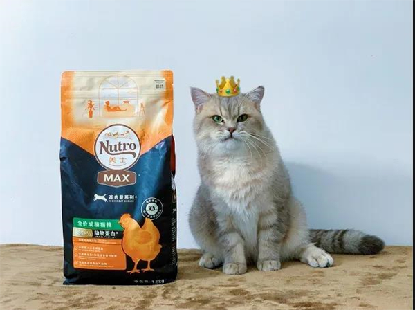 首页| 耀彩网官方网站入口