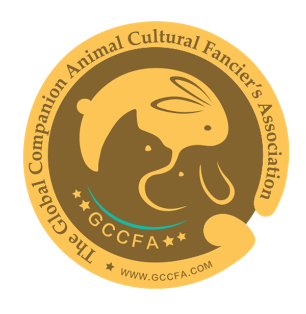 首页| 耀彩网官方网站入口