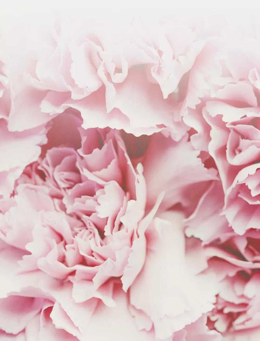 首页| 耀彩网官方网站入口