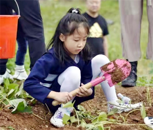 首页| 耀彩网官方网站入口