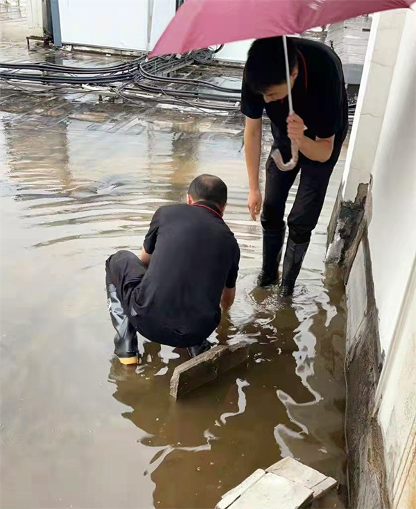 首页| 耀彩网官方网站入口