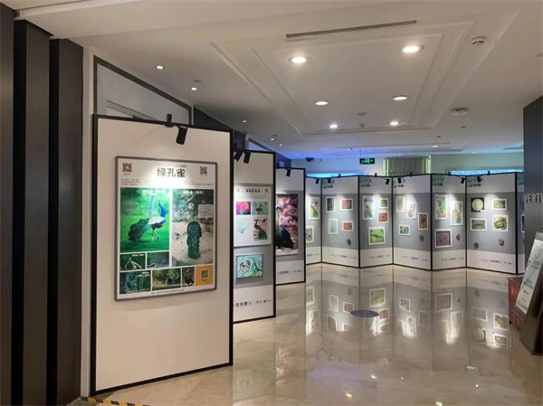 首页| 耀彩网官方网站入口