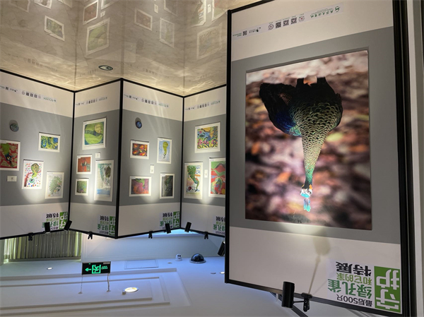 首页| 耀彩网官方网站入口