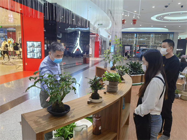 首页| 耀彩网官方网站入口