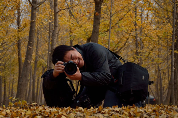 首页| 耀彩网官方网站入口