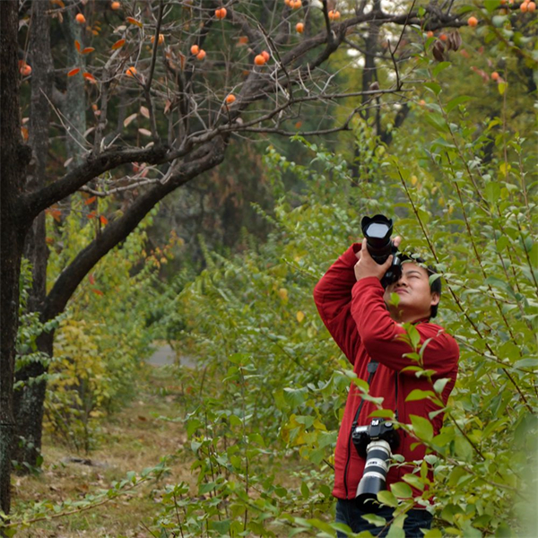首页| 耀彩网官方网站入口