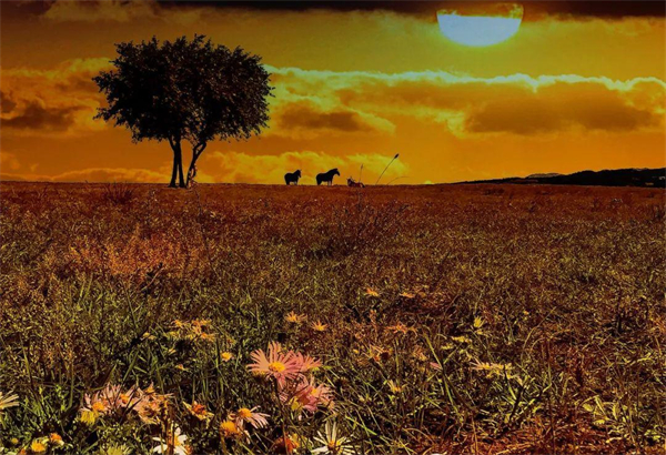 首页| 耀彩网官方网站入口