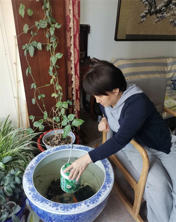 首页| 耀彩网官方网站入口