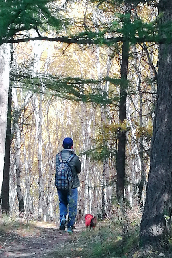首页| 耀彩网官方网站入口