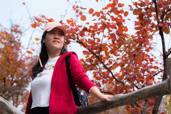 首页| 耀彩网官方网站入口