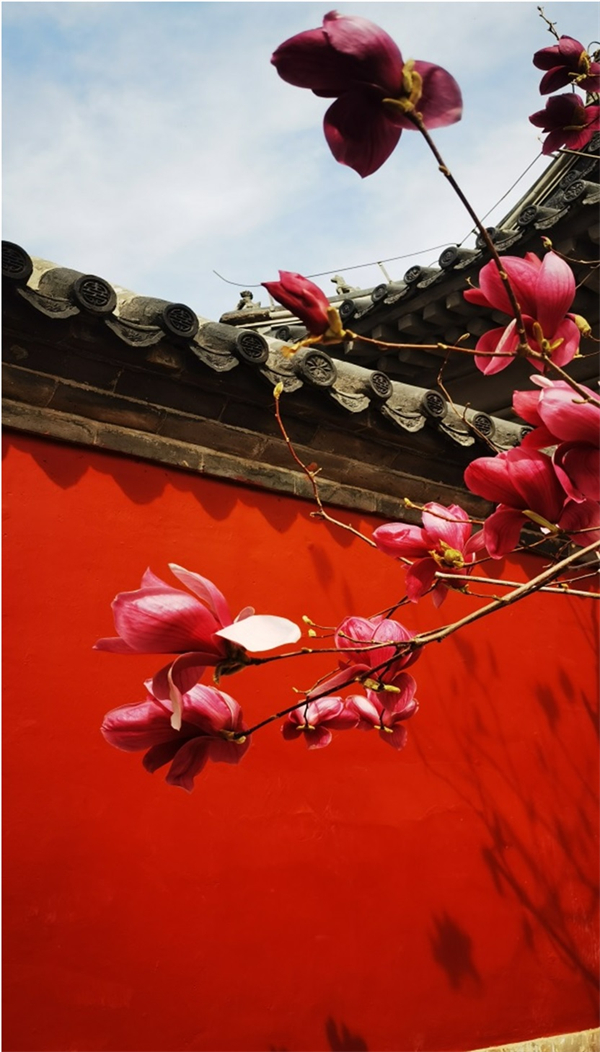 首页| 耀彩网官方网站入口