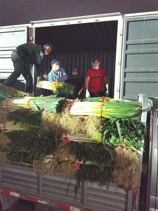 首页| 耀彩网官方网站入口