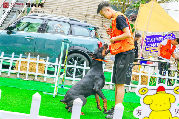 首页| 耀彩网官方网站入口