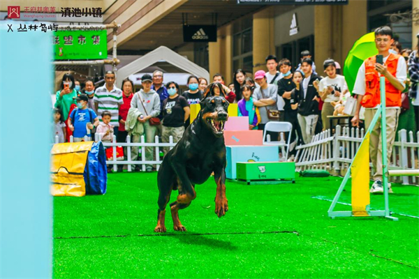 首页| 耀彩网官方网站入口